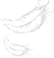 <p>(More) about Feathers Like Fingerprints</p>